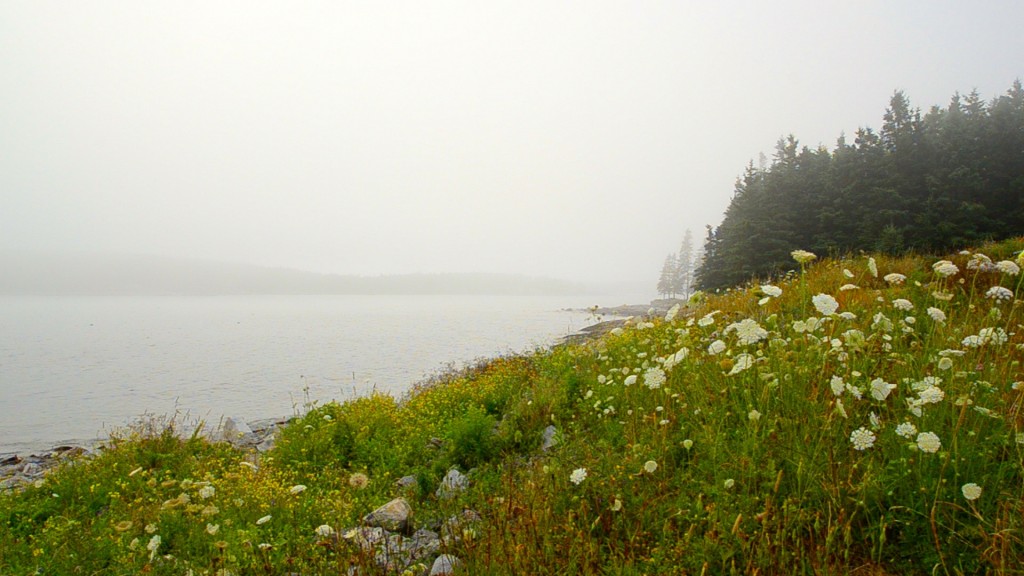 Marshal Point Hill, summer