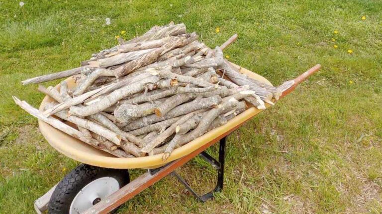 Wheelbarrow-of-Firewood,2